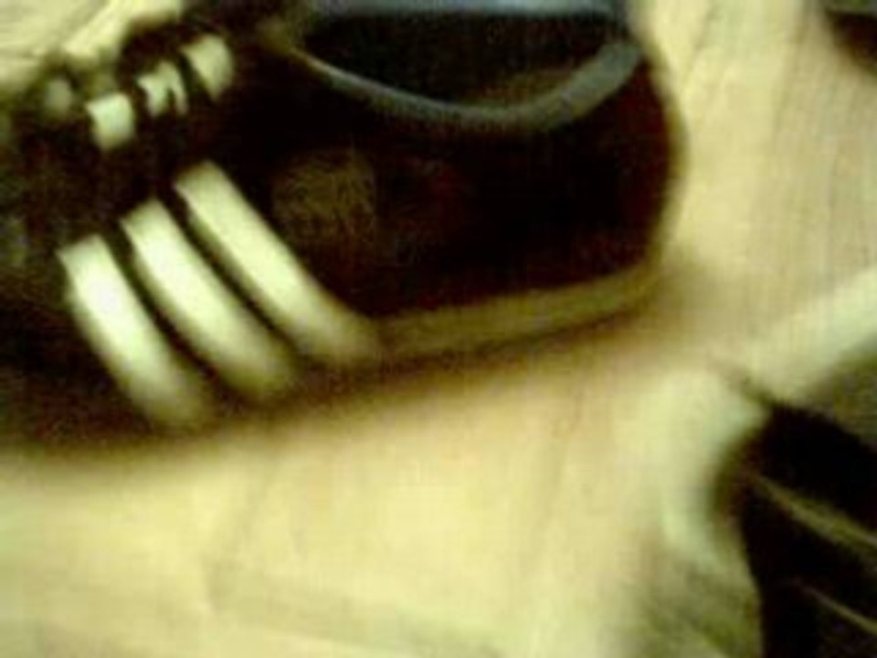 Adidas & Pantofola d'Oro