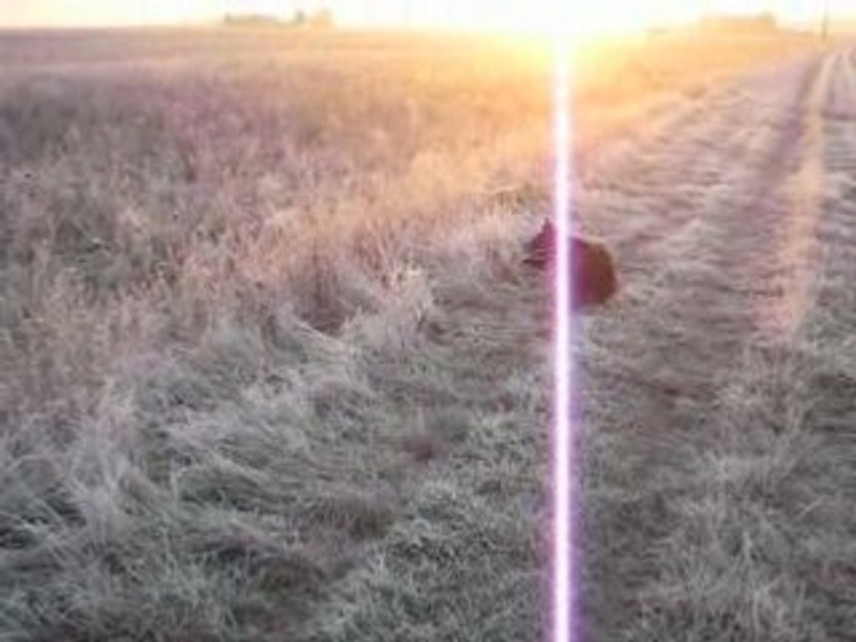 MVI_0730
