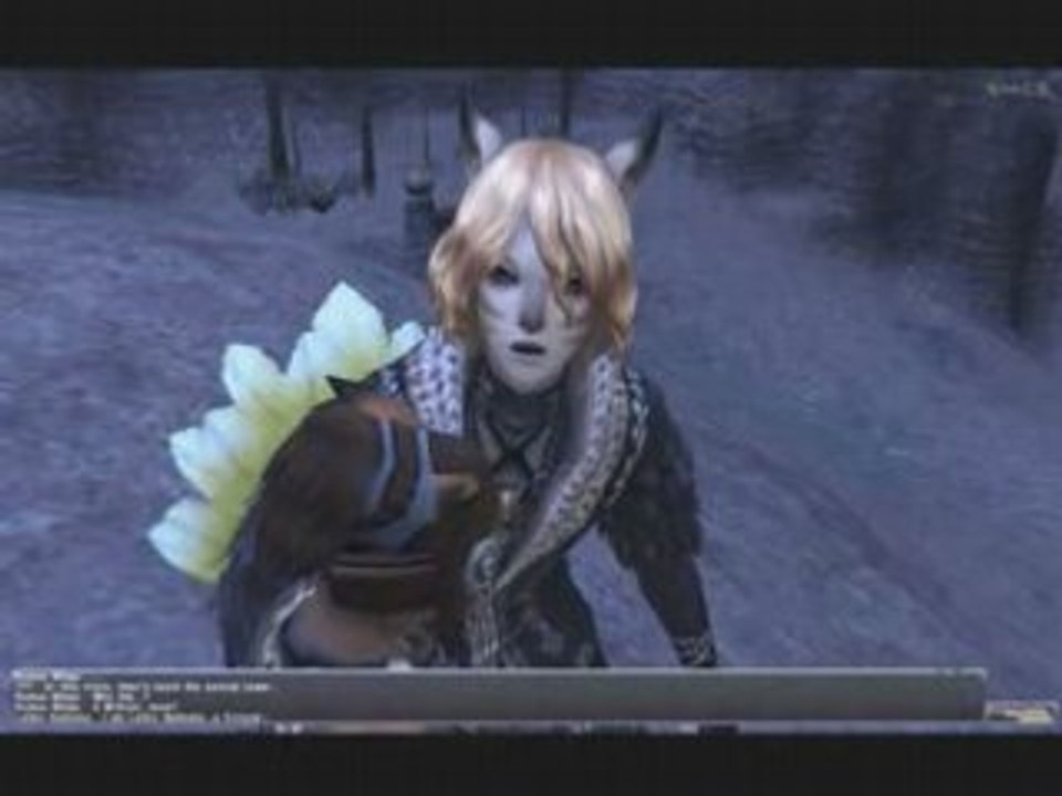Final Fantasy XI Male Mithra