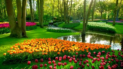 Wonders of The Netherlands   The Most Amazing Places in The Netherlands  Travel Video