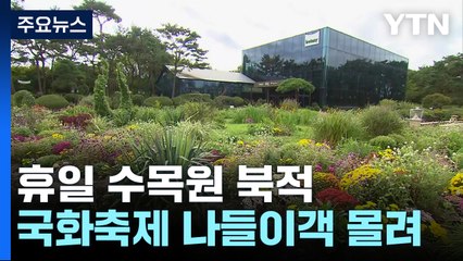 [날씨] 수목원 산책하며 폭염·비 뚫고 찾아온 가을 정취 만끽 / YTN