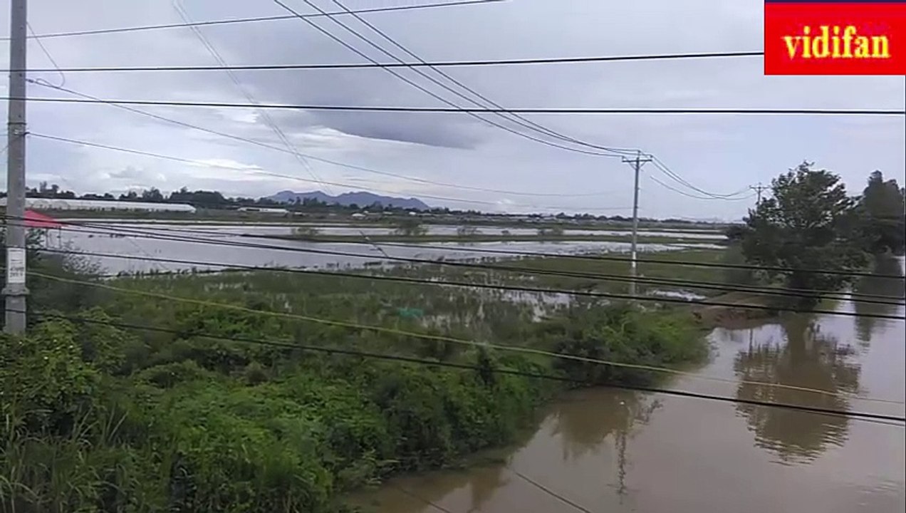 fish farm