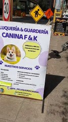 A Dog Grooming Shop, Santiago, Chile 