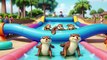 Otterly Joyful River Dance KidsMusic-kidssongs-nursery rhymes-kids story time-DancingAnimals