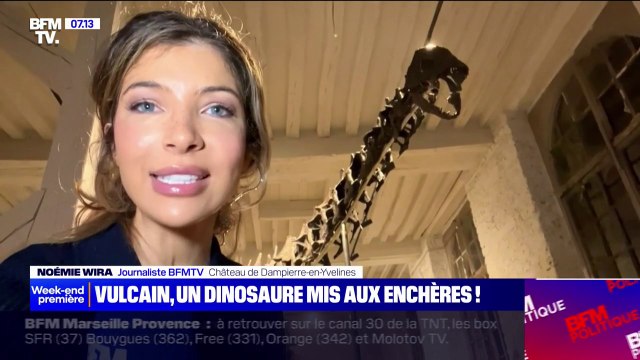 Ce squelette de dinosaure de 20 mètres de long et vieux d'environ 150 millions d'années bientôt mis aux enchères