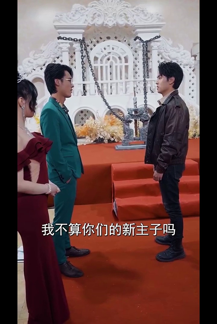 战龙狂婿