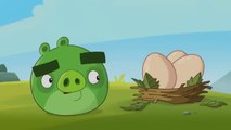 Angry Birds Toons | Pig Plot Potion - S1 Ep31