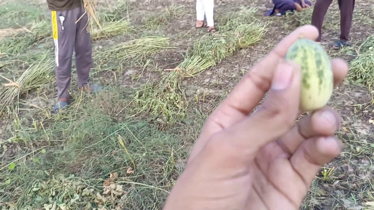 My youtube vlog ||चोरों की चोरी पकरी गई || Musta magia Baban metsässä ||Funny Vlog ||@Aliprince022