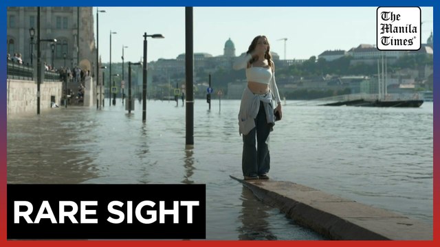 People visit Hungary's Danube as waters reach decade high after Storm Boris