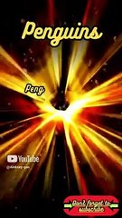 Animal Facts   Penguins    #shorts