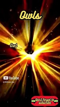 Animal Facts Owls #shorts