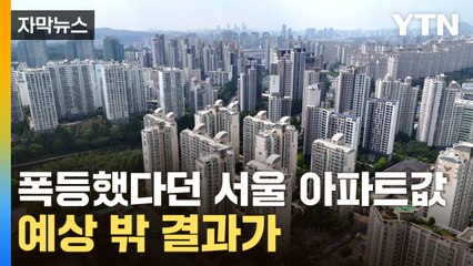 [자막뉴스] 정부 통계와 정반대...서울 집값 '예상 밖 결과' / YTN