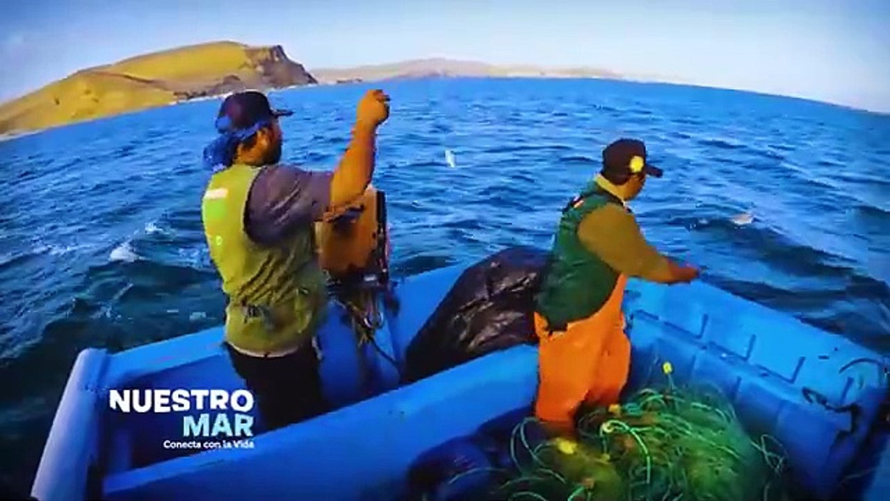 Nuestro mar Conecta con la vida
