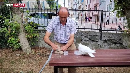 İkisinin de ayağı sakat; birbirlerine can yoldaşı oldular