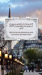Best Quotes #quran #quotes #shortsviral #islamicquotes #shorts #short #tranding #islamic #shortvideo