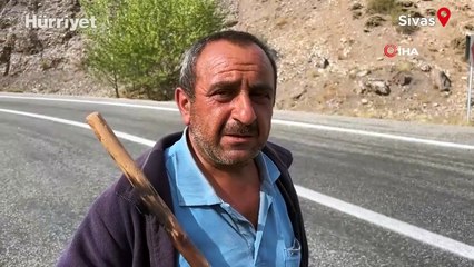 İstanbul’dan Sivas’a gitti, çobanlık yapmaya başladı