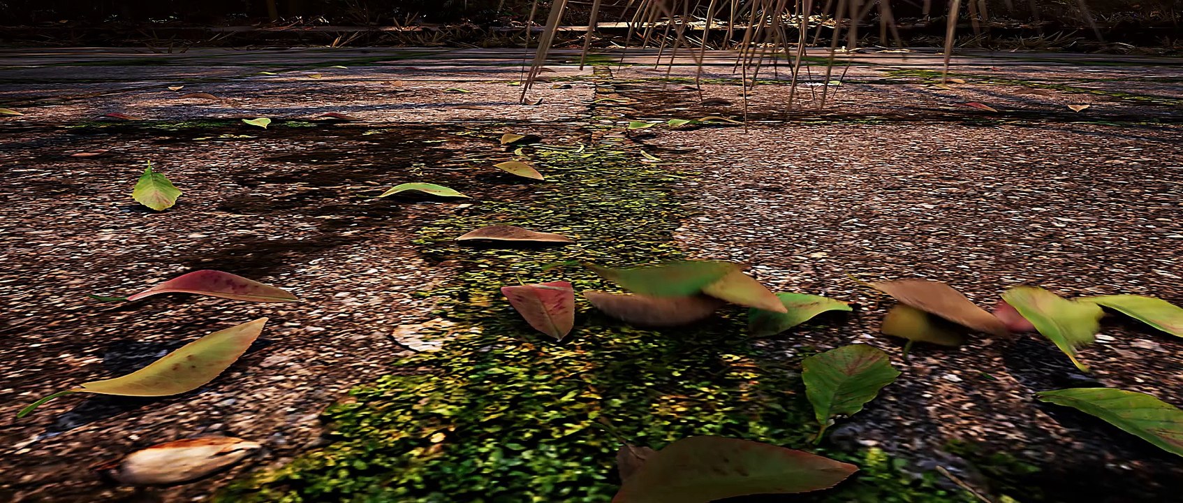 Jade Dynasty 2 2024 Episode 11 Eng Sub