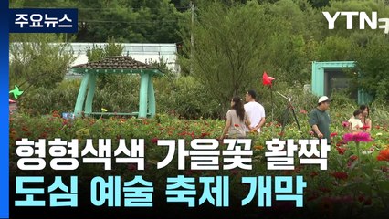 형형색색 가을꽃 활짝...광주 길거리 예술 축제 개막 / YTN