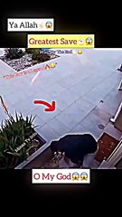 MashAllah ☝ Greatest Save 