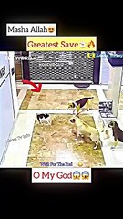 MashAllah ☝ Greatest Save 