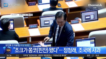 “조크가 쫑코(핀잔) 됐다”…정청래, 조국에 사과