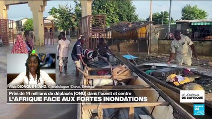 Inondations en Afrique de l'Ouest : "le changement climatique intensifie les pluies"