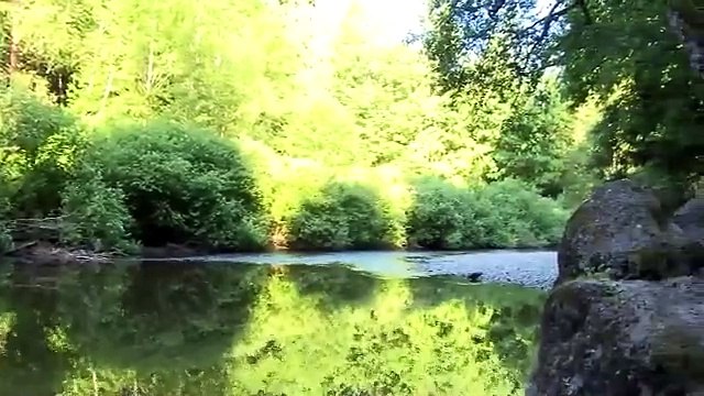 VER PRESAS DEL BOSQUE ESTRENO 2024 PELICULA EXCLUSIVA HORROR PELICULA EN ESPANOL