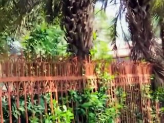 Darbar Hazrat Sufi Barkat Ali samundri road Faislabad