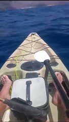 Un canario en piragua es sorprendido por un tiburón