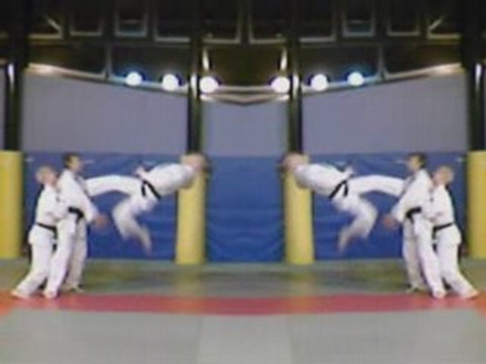 Jujitsudelire