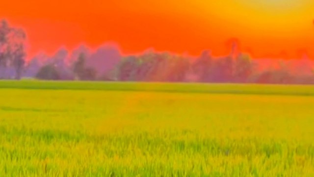 Âm nhạc thư giãn trị liệu với cảnh đẹp nhân gian - Hòa tấu nhạc quê hương cực ngọt thấm sâu tận tâm can