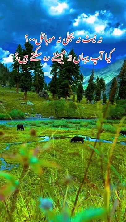 نہ نیٹ نہ بجلی نہ موبائل..؟ کیا آپ یہاں 2 مہیینے رہ سکتے ہیں کیا