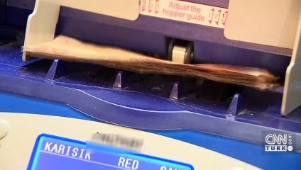 Lüks yat ve tekne satışları takipte