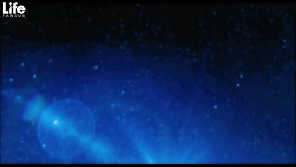 407: O Vôo das Trevas Filmes De Terror Completo Dublado