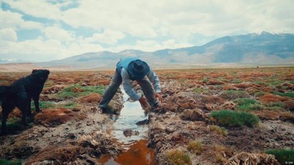 معارف قديمة - تكنولوجيا ري محلية