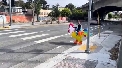 Fowl Play Police Use Chicken to Catch Speeders