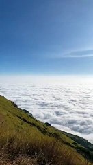 Wonderfull indonesia