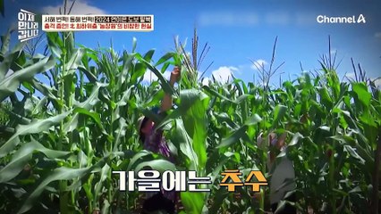 도둑질이 곧 식량을 구하는 법! 1년 내내 농사지어도 우리 식구가 먹을 쌀이 없는 기묘한 현실