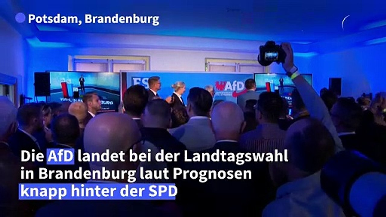 AfD-Chef Chrupalla: 'SPD und CDU sind im Prinzip die Einheitspartei'