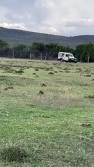 Convoy headed to a political rall