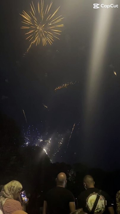 Le Feu d’artifice du 14 juillet Grenoble  Parc Jean-Verlhac Villeneuve #france #grenoble #show (37)