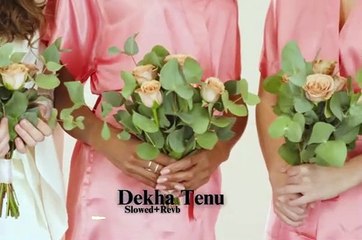 Dekha_Tenu _ Slowed+Revb _ Latest Hindi Songs 2024