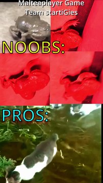 Crazy Screaming Frog vs military cats