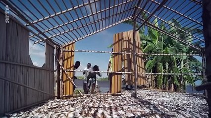 Plongée au coeur du delta du Congo _ 360° Reportage _ ARTE Family