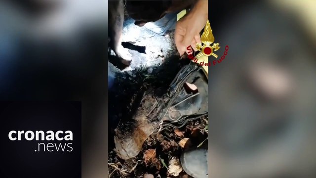Cane cade in un pozzo, il video del salvataggio dei Vigili del Fuoco