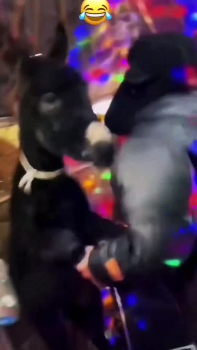 Best fête !
