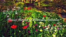 Pamela Storch - Flower Garden of Platinum Intention Poem