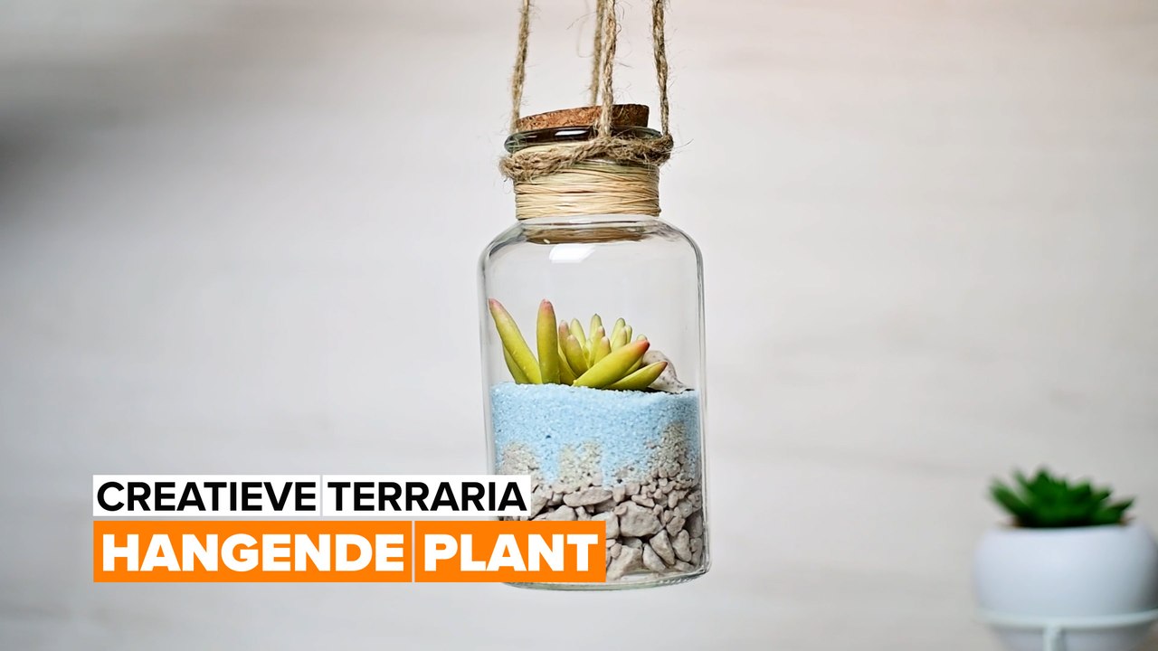 Creatieve terraria: Hangend terrarium