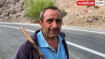 İstanbul'un Stresinden Kaçıp Sivas'ta Çobanlık Yapmaya Başladı
