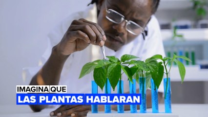 Imagina que las plantas hablaran